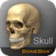 【BoneBox™ - Skull Viewer】人間の頭蓋骨の3Dモデルが見られるアプリ。
