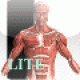 【Visual Anatomy Lite】人体解剖図アプリ。