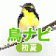 【鳥ナビ・初夏編】野鳥がどこで見られるか、また、その鳴き声を聞くことのできるアプリ。